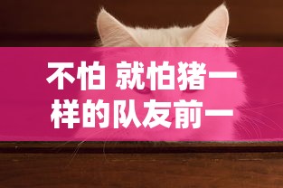 街机三国礼包码  第1张