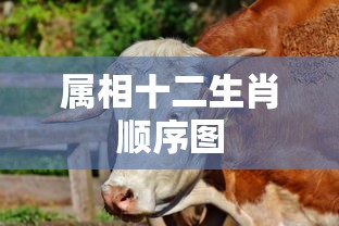 属相十二生肖顺序图  第1张