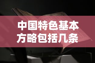 中国特色基本方略包括几条  第1张