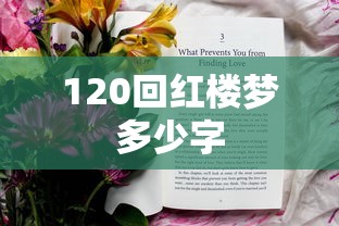 120回红楼梦多少字  第1张