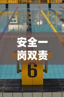 安全一岗双责是哪两个责任  第1张