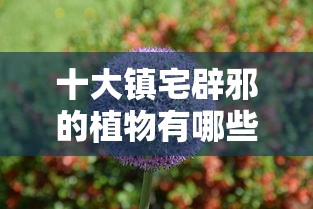 十大镇宅辟邪的植物有哪些  第1张