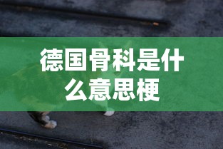 德国骨科是什么意思梗  第1张
