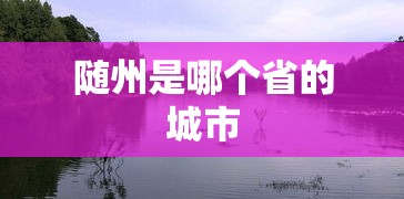 邵东刘国忠有多少钱  第1张