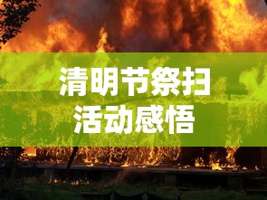 清明节祭扫活动感悟  第1张