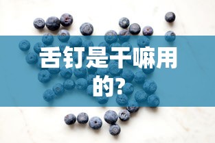 舌钉是干嘛用的?  第1张