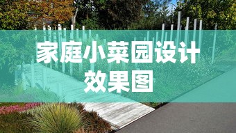 家庭小菜园设计效果图  第1张