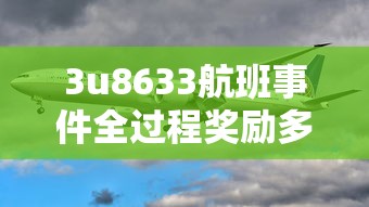 3u8633航班事件全过程奖励多少钱  第1张