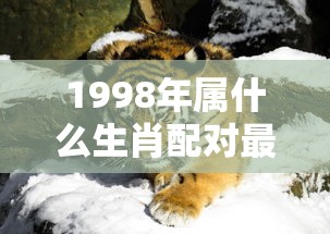 1998年属什么生肖配对最好  第1张
