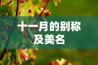 驱蚊手镯有用吗?  第1张