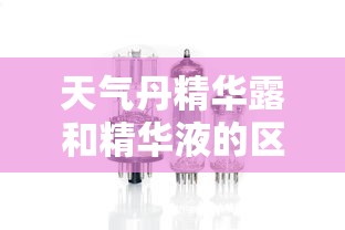 天气丹精华露和精华液的区别  第1张