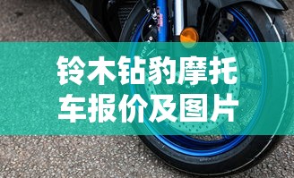 铃木钻豹摩托车报价及图片  第1张