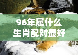 96年属什么生肖配对最好  第1张