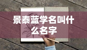 景泰蓝学名叫什么名字  第1张
