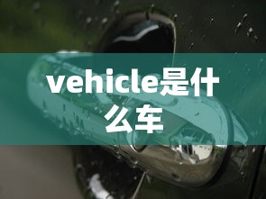 vehicle是什么车  第1张