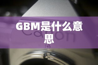 GBM是什么意思  第1张