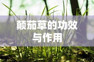 颠茄草的功效与作用  第1张