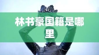 林书豪国籍是哪里  第1张