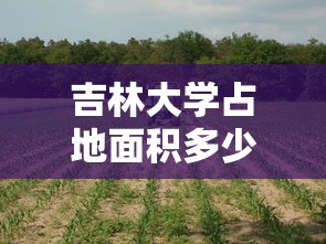 吉林大学占地面积多少亩  第1张