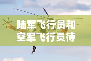 陆军飞行员和空军飞行员待遇  第1张