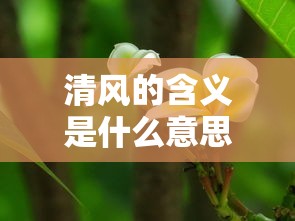清风的含义是什么意思  第1张