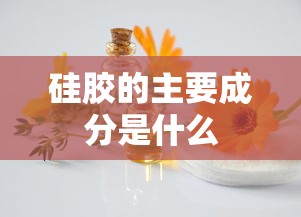 硅胶的主要成分是什么  第1张