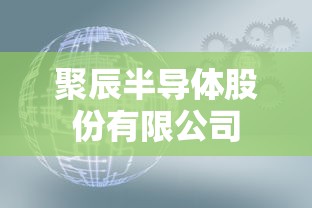 聚辰半导体股份有限公司  第1张