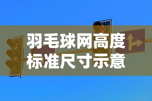 羽毛球网高度标准尺寸示意图  第1张