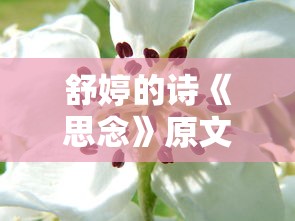 舒婷的诗《思念》原文  第1张