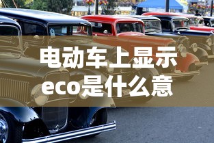 电动车上显示eco是什么意思  第1张
