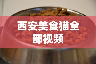 西安美食猫全部视频  第1张