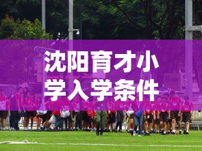 沈阳育才小学入学条件  第1张