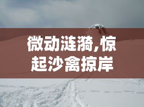 微动涟漪,惊起沙禽掠岸飞  第1张