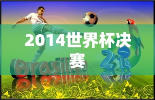 2014世界杯决赛  第1张