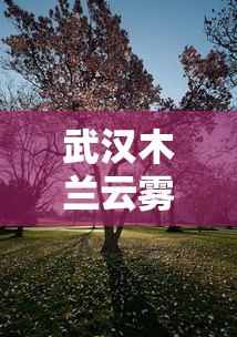 武汉木兰云雾山景区怎么去  第1张