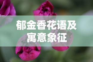 郁金香花语及寓意象征  第1张