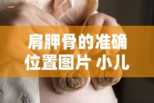 肩胛骨的准确位置图片 小儿  第1张