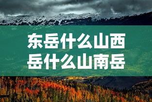 海贼王1085集免费观看完整  第1张
