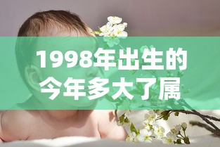 1998年出生的今年多大了属什么  第1张