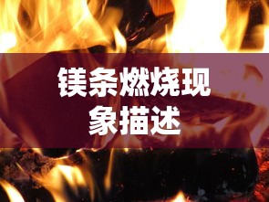 镁条燃烧现象描述  第1张