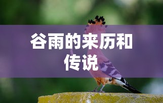 谷雨的来历和传说  第1张