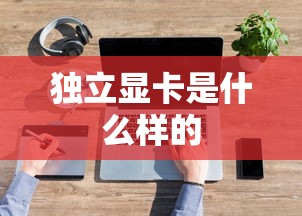 独立显卡是什么样的  第1张
