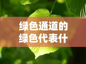 绿色通道的绿色代表什么含义  第1张