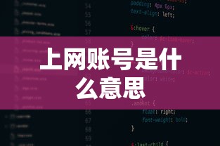 上网账号是什么意思  第1张