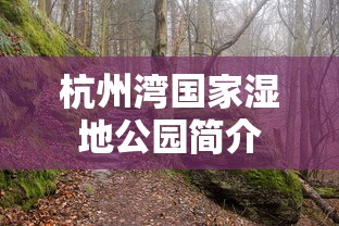 杭州湾国家湿地公园简介  第1张
