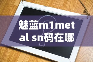 魅蓝m1metal sn码在哪看  第1张