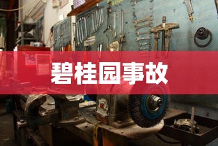 碧桂园事故  第1张