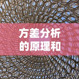 方差分析的原理和步骤  第1张
