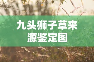 九头狮子草来源鉴定图  第1张