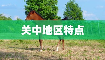 关中地区特点  第1张